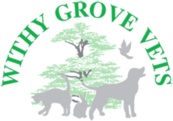 Withy Grove Vets - PPC Management