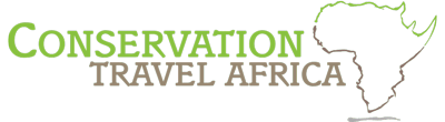 Conservation Travel Africa worked with Maratopia's PPC team
