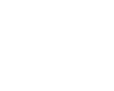 Vita Modular Logo